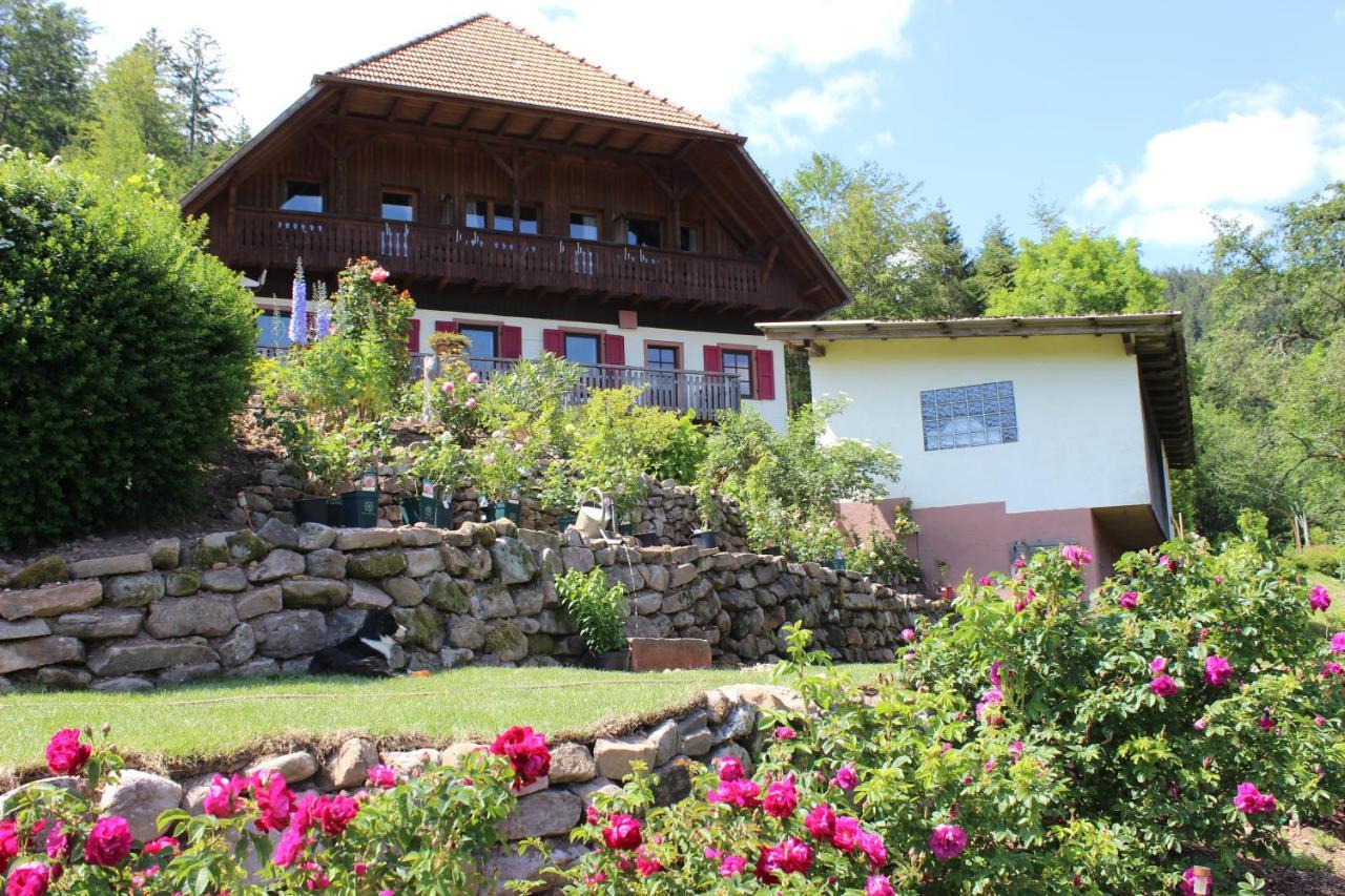 The Moosbach Garden Landhaus Nordrach