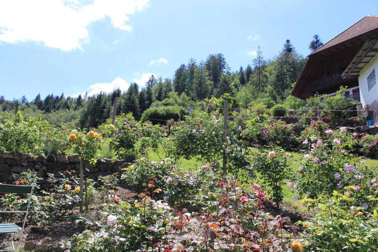 The Moosbach Garden Landhaus *