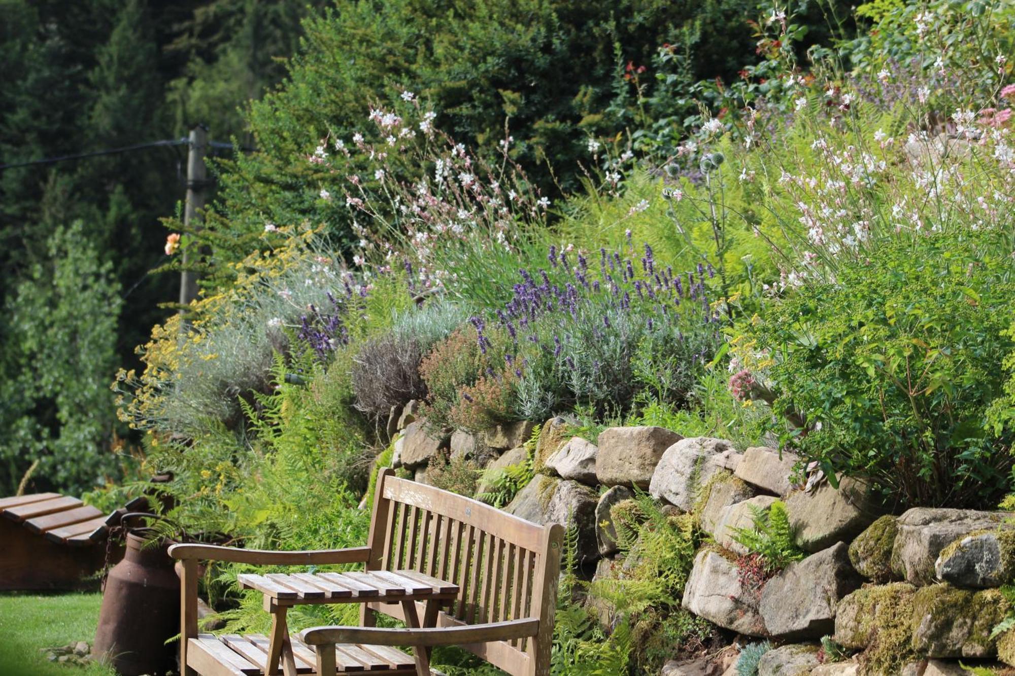 The Moosbach Garden Country house Nordrach